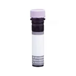 BD BUV395 Rat Anti-Mouse IgG2a/IgG2b