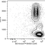 BD BV605 Mouse Anti-NHP CD45