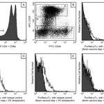BD Purified Mouse Anti-Mouse Pre-T Cell Receptor α Chain