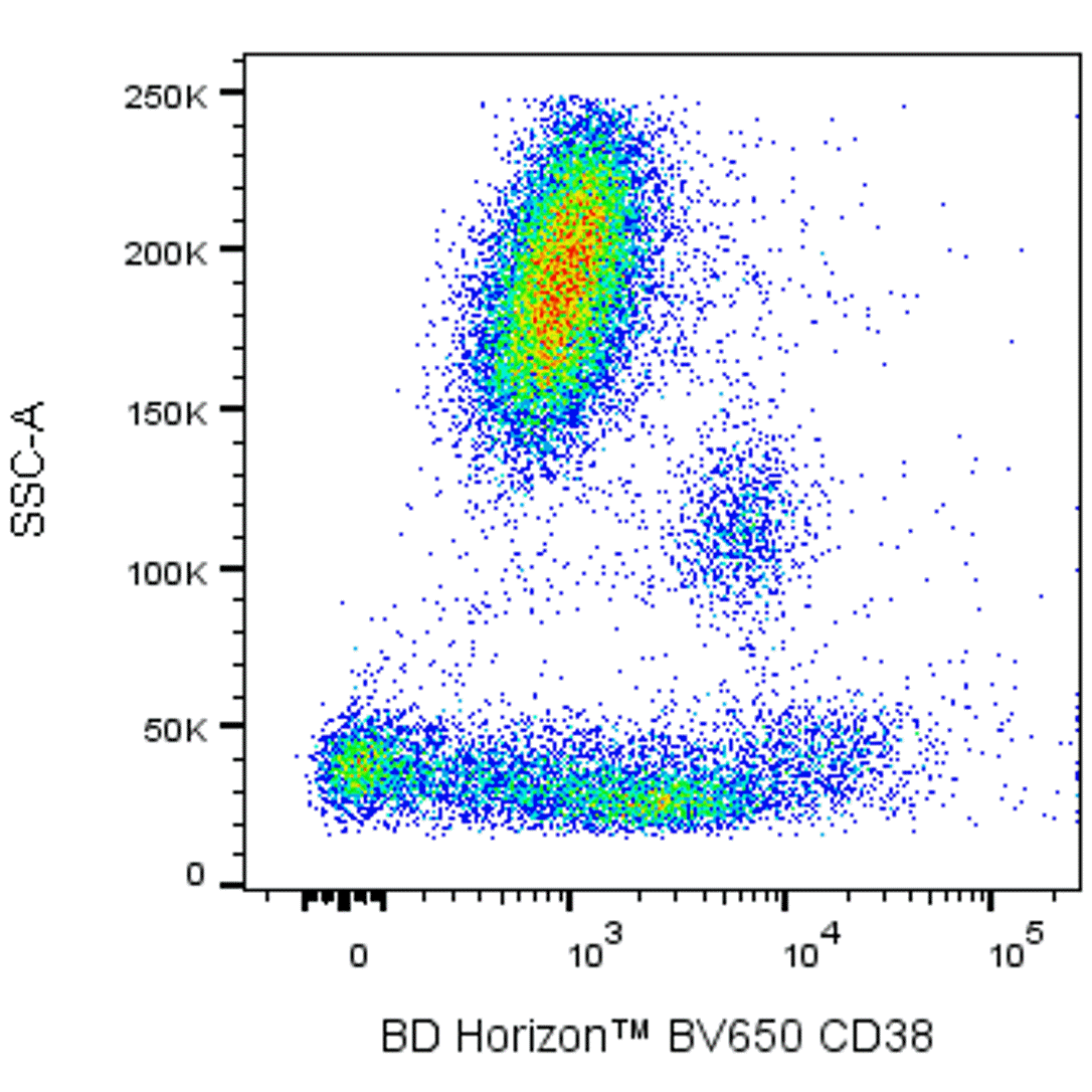 BD BV650 Mouse Anti-Human CD38