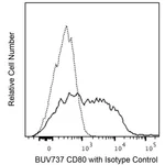 BD BUV737 Hamster Anti-Mouse CD80