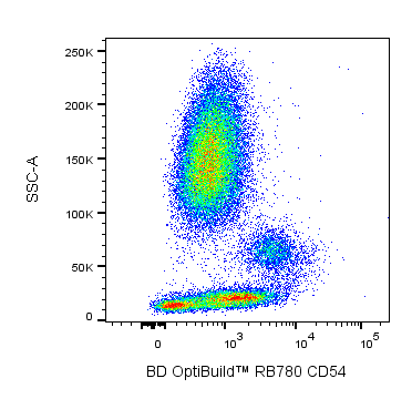 BD RB780 Mouse Anti-Human CD54 (ICAM-1)