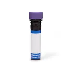 BD RB744 Rat Anti-Mouse CRIg