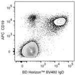 BD BV480 Mouse Anti-Human IgD