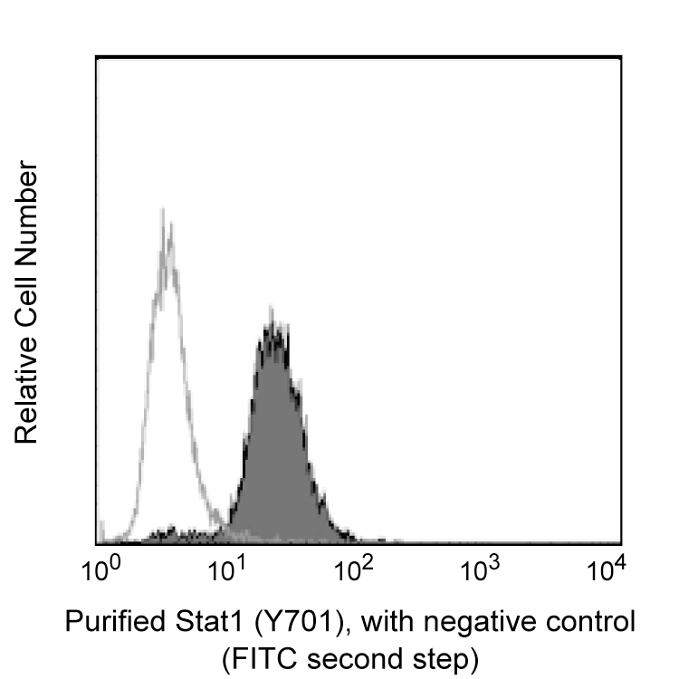 BD Purified Mouse Anti-Stat1 (pY701)