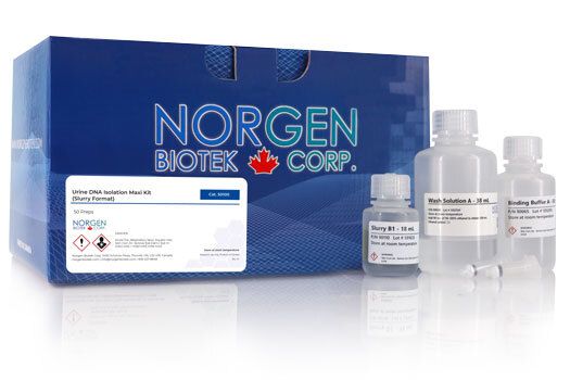 Norgen Urine DNA Isolation Maxi Kit (Slurry Format)