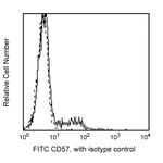 BD FITC Mouse Anti-Human CD57