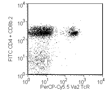 BD PerCP-Cy5.5 Rat Anti-Mouse Vα2 TCR