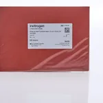 Thermo Fisher Scientific Press-to-Seal Silicone Sheet, 13 cm x 18 cm, 0.5 mm thick