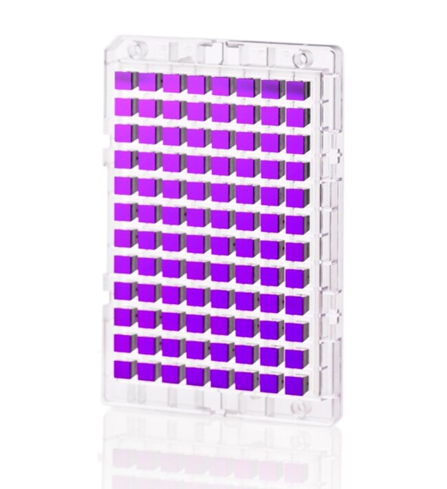 Thermo Fisher Scientific Axiom myDesign TG Array, 1K-90K