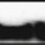 Merck MONOCLONAL ANTI-B-ACTIN, CLONE AC-74