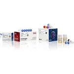 Thermo Fisher Scientific Bac-to-Bac HBM TOPO Secreted Expression System