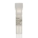 Thermo Fisher Scientific 5-(3-Aminoallyl)-dUTP (50 mM)