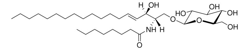 Merck C8 Glucosyl(beta) Ceramide (d18:1/8:0)