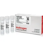 Thermo Fisher Scientific SYBR Green Cells-to-CT Control Kit