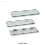 HEINZ HERENZ Hole Slide Glass