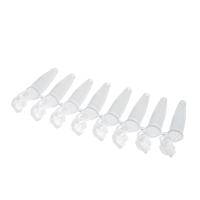 Thermo Fisher Scientific PCR Tubes - Singles and Strips