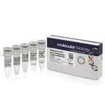 Thermo Fisher Scientific EpiJET DNA Methylation Analysis Kit (MspI/HpaII)