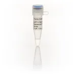 Thermo Fisher Scientific pJET1.2 Reverse Sequencing Primer, 24-mer