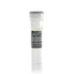 Thermo Fisher Scientific HCT 116 (+hIGF-1) Control Lysate (1mg/mL)
