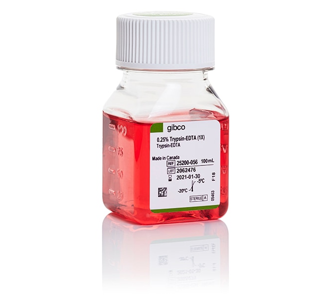 Thermo Fisher Scientific Trypsin-EDTA (0.25%), phenol red, 100 mL