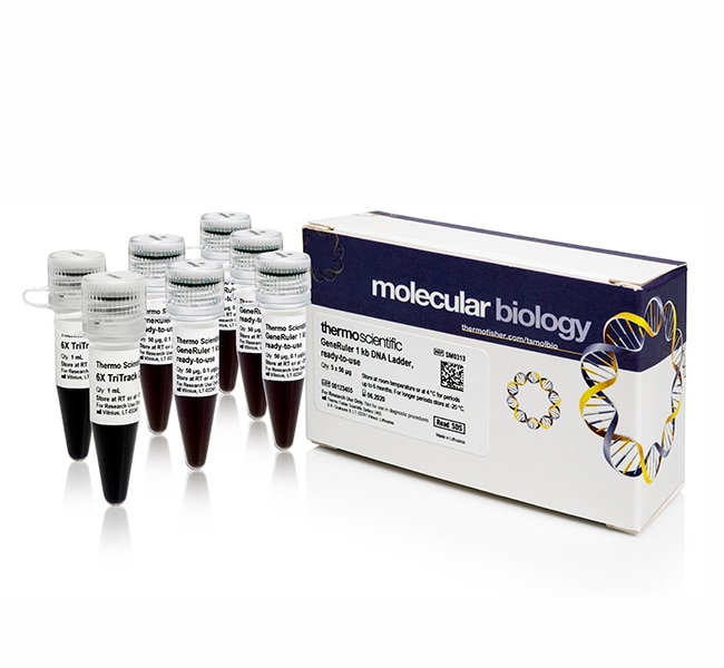 Thermo Fisher Scientific GeneRuler High Range DNA Ladder, ready-to-use