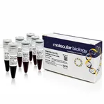 Thermo Fisher Scientific GeneRuler High Range DNA Ladder, ready-to-use