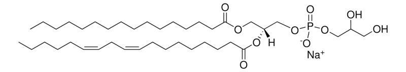 Merck Soy PG