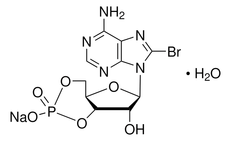 Merck 8-Bromoadenosine 3',5'-cyclic monophosphate sodium salt monohydrate