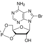 Merck 8-Bromoadenosine 3',5'-cyclic monophosphate sodium salt monohydrate