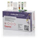 Thermo Fisher Scientific Phire Tissue Direct PCR Master Mix, 1,250 reactions
