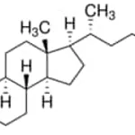 Merck (+)-4-CHOLESTEN-3-ONE, 98%