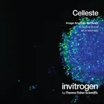 Thermo Fisher Scientific Celleste 3D Analysis Module, single-user license