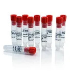 Thermo Fisher Scientific Pierce SM(PEG)2, No-Weigh Format