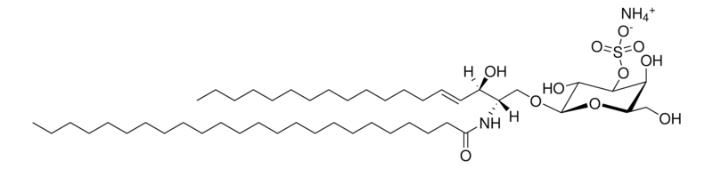 Merck C24 Mono-Sulfo Galactosyl(beta) Ceramide (d18:1/24:0)