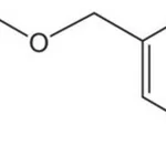 Merck DHP HM RESIN (100-200 MESH) 5 G