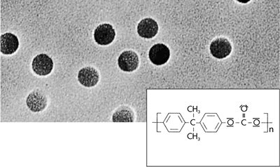 Polycarbonate Track-Etched Membrane Filters