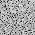 Polyethersulfone (PES) Membrane Filters