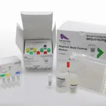 Thermo Fisher Scientific Ion Total RNA-Seq Kit v2, 12 reactions