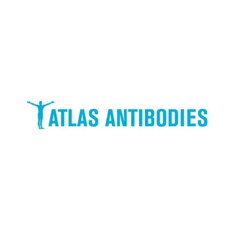 Atlas Antibodies Anti-NPR3 Antibody