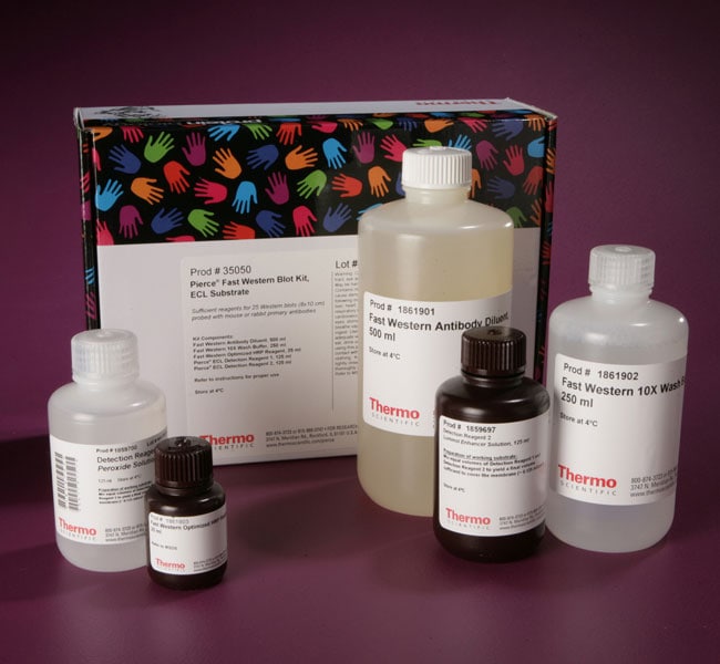 Thermo Fisher Scientific Pierce Fast Western Blot Kit, ECL Substrate, 1 L Kit