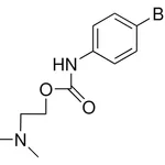 Merck 2-DIMETHYLAMINOETHYL N-(4-BROM - 50 MG&