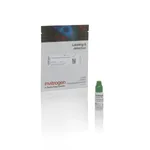 Thermo Fisher Scientific BrightComp eBeads Compensation Bead Kits, 25 tests