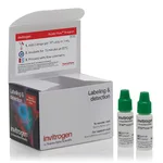 Thermo Fisher Scientific SYTOX Green Ready Flow Reagent