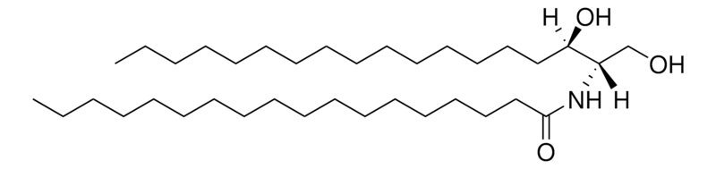 Merck C18 Dihydroceramide (d18:0/18:0)