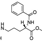 Merck N-A-BENZOYL-L-ARGININE ETHYL ESTER &