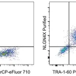 Thermo Fisher Scientific F(ab`)2-Goat anti-Mouse IgG (H+L) Secondary Antibody, PE, eBioscience