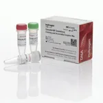 Thermo Fisher Scientific GeneArt Seamless Cloning and Assembly Enzyme Mix