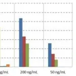 Thermo Fisher Scientific Goat anti-Rabbit IgG (H+L) Recombinant Secondary Antibody