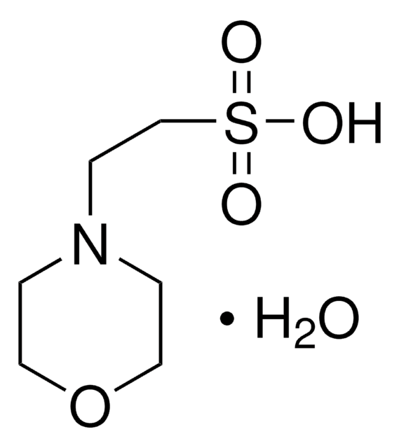 Merck MES MONOHYDRATE, BIOULTRA, FOR MOLECULAR